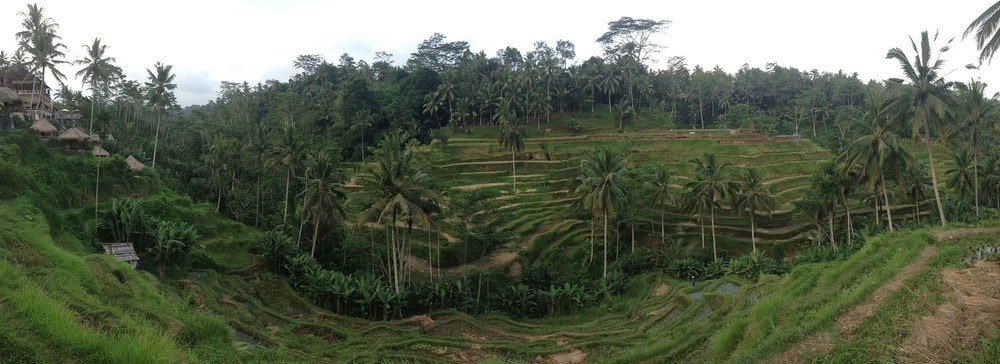 bali