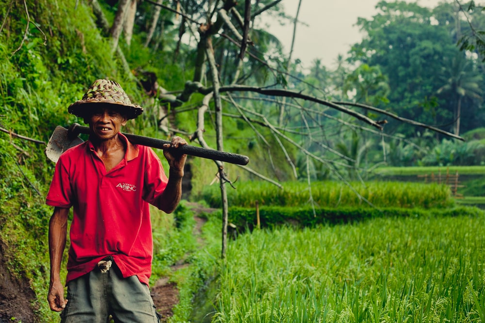 ubud bali local